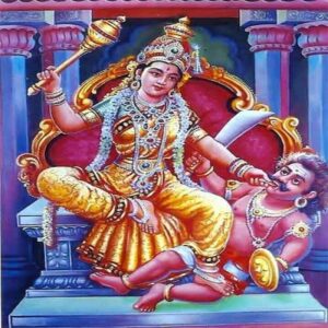 Bagalamukhi Homam