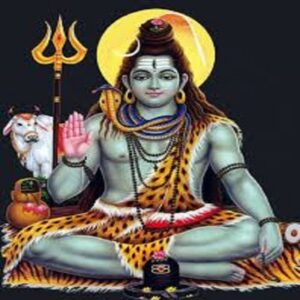 Ekadasa Rudra Homam