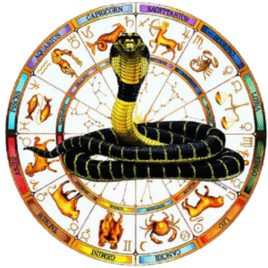 Kaal Sarp Dosha