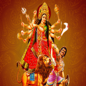 Navachandi Homam