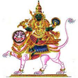 Rahu Homam