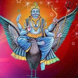 Shani Homam