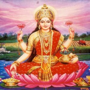 Vasudhaiva Kutumbakam Homam